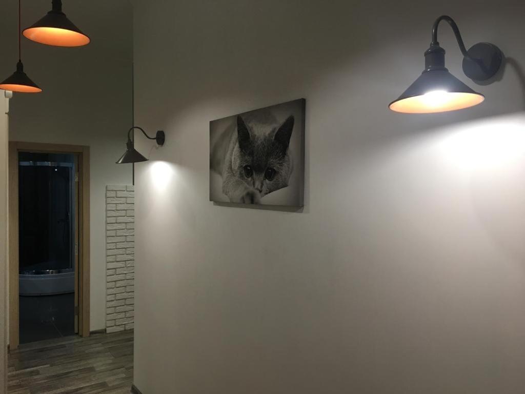 Comfort Place In The Centre