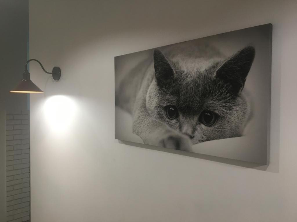 Comfort Place In The Centre
